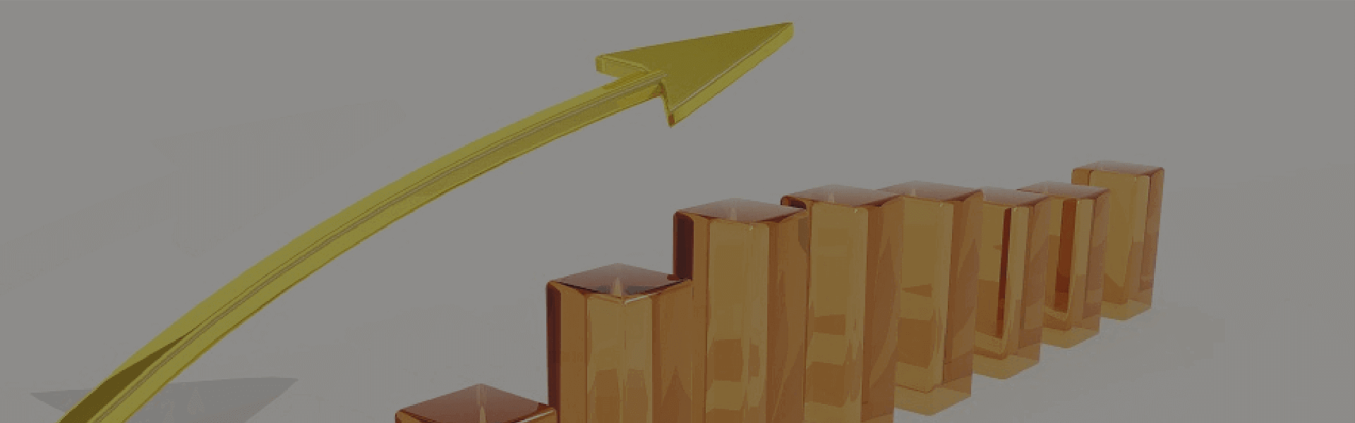 小貸業(yè)務管理系統(tǒng)