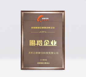 成都高新區(qū)梯度培育企業(yè)_瞪羚企業(yè)